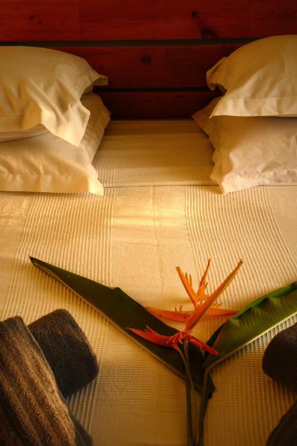 Studio Malacca, Malanga Et Majacudja - O Coeur De เดเอ ภายนอก รูปภาพ